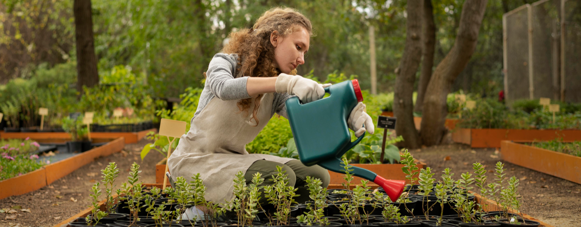How the Reencle Food Composter Adds Value to Your Home and Garden