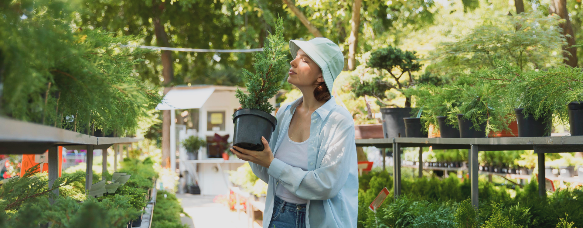 Top 5 Reasons to Invest in a Reencle Food Composter for a Greener Future