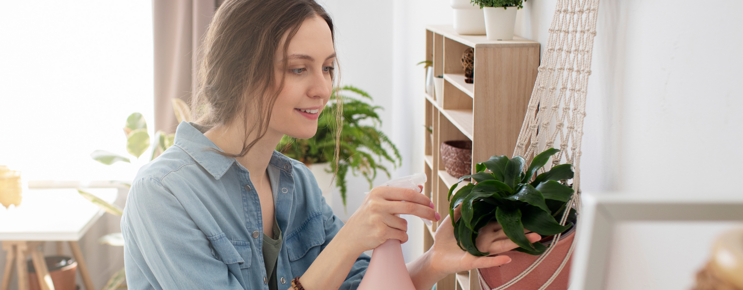 The Advantages of Reencle Food Composter: A Cleaner and Sustainable Home